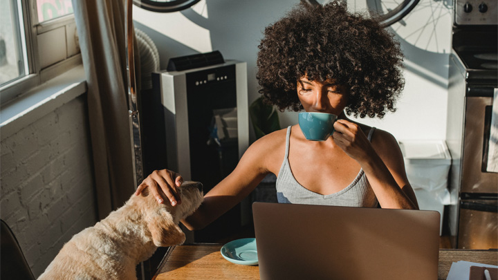 Woman working at laptop, drinking from a mug, and stroking a dog